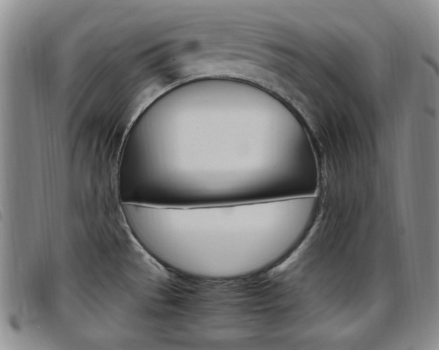 X0000097921529200803141020