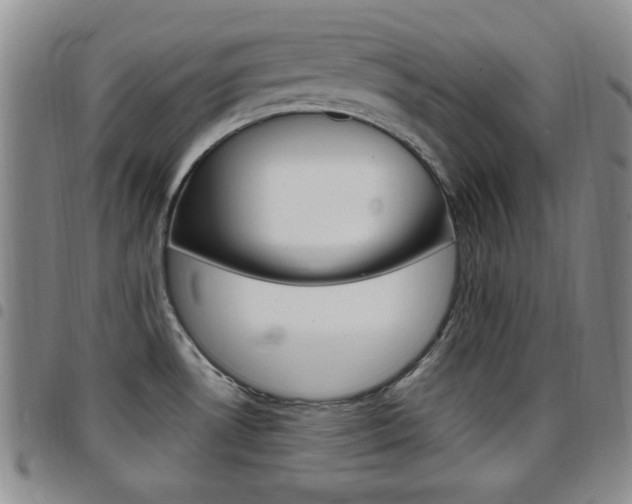 X0000097921530200803141020