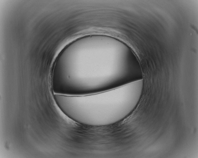 X0000097921531200803141020