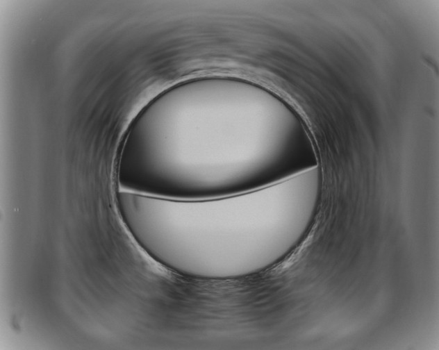X0000097921533200803141020