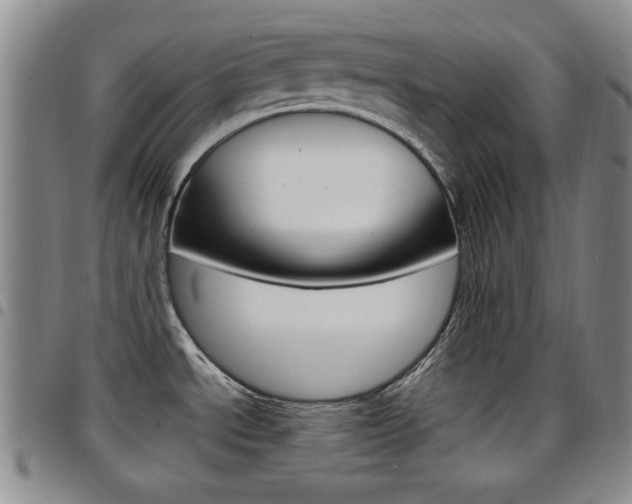 X0000097921534200803141020