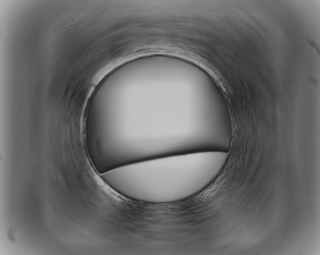 X0000097921535200803141020