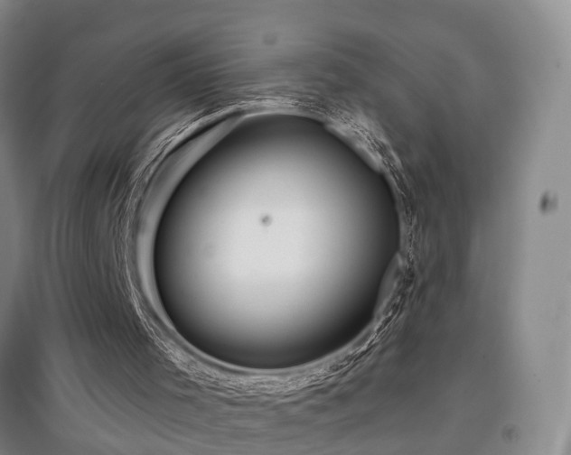 X0000097920001200803141451