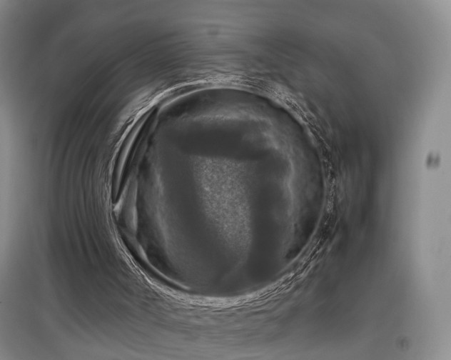 X0000097920002200803141451