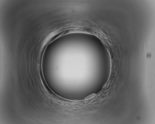 X0000097920003200803141451