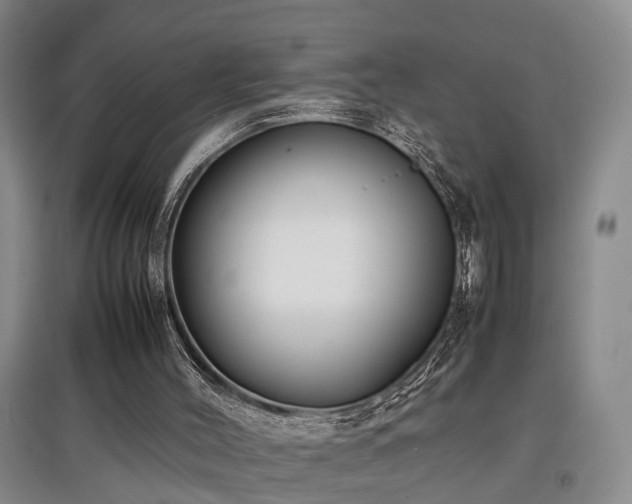 X0000097920004200803141451