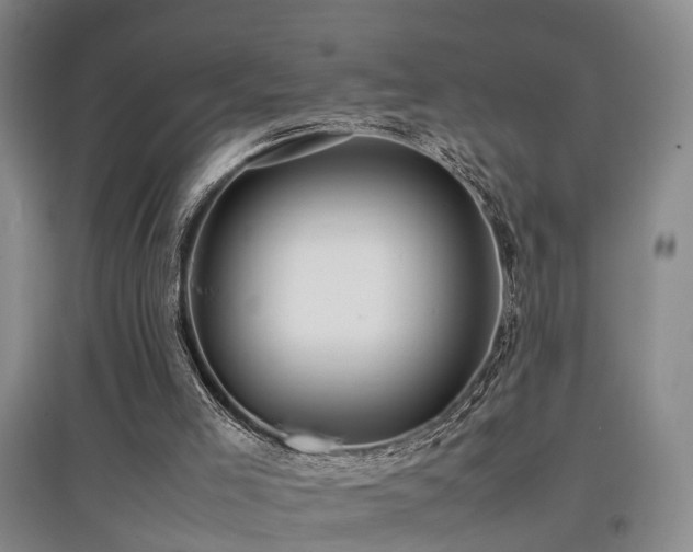 X0000097920005200803141451