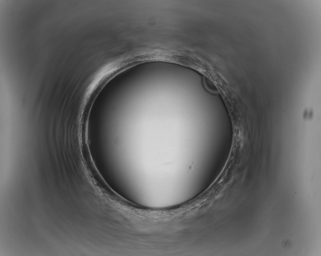 X0000097920006200803141451