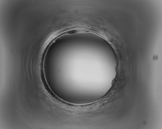 X0000097920007200803141451