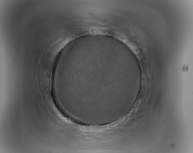 X0000097920009200803141451