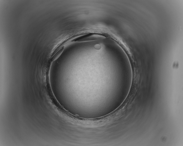 X0000097920010200803141451