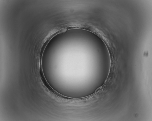 X0000097920011200803141451