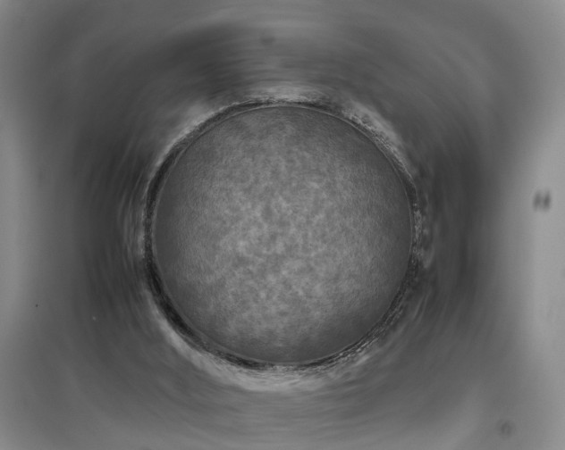 X0000097920012200803141451