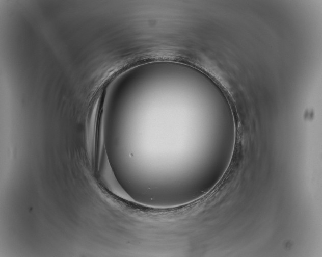 X0000097920013200803141451