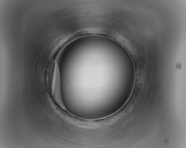 X0000097920014200803141451