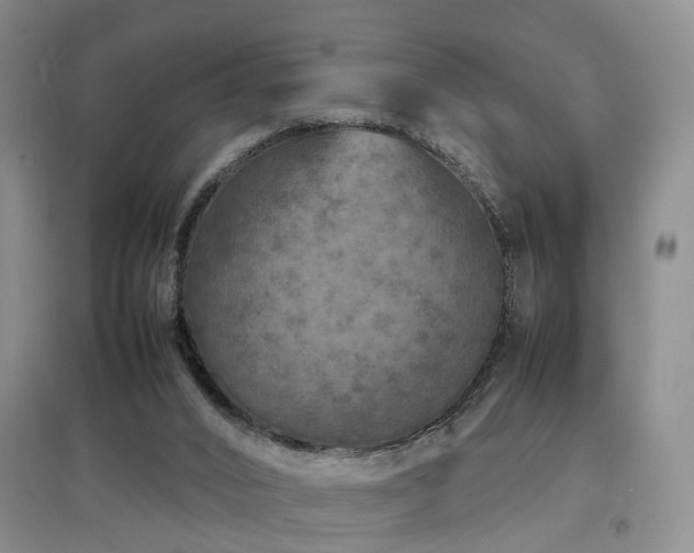 X0000097920016200803141451