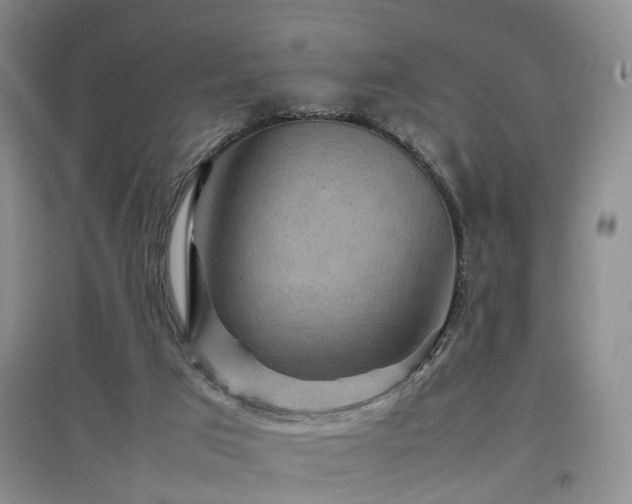 X0000097920017200803141451