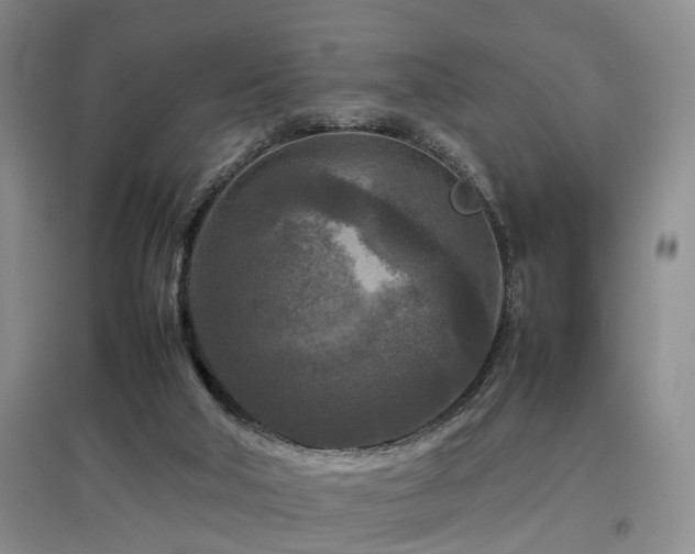 X0000097920018200803141451