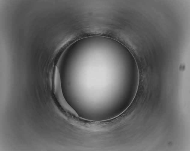 X0000097920020200803141451