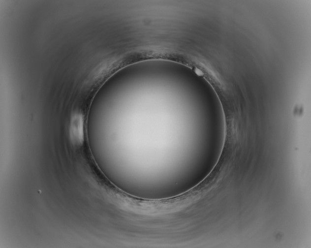 X0000097920022200803141451
