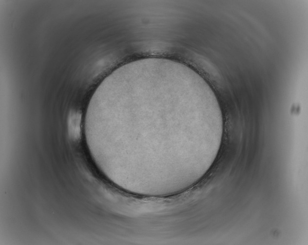 X0000097920024200803141451