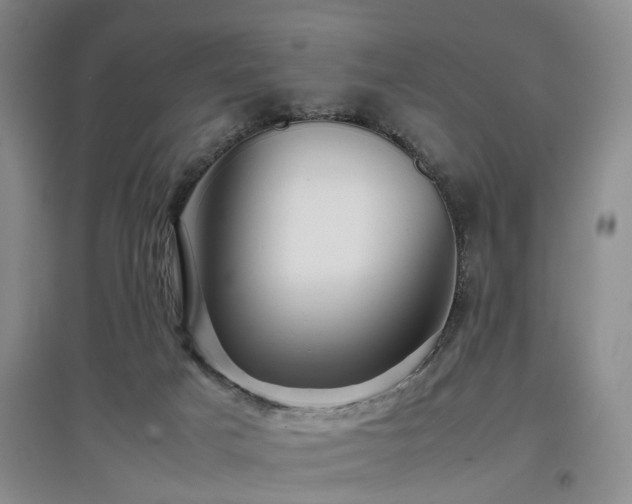 X0000097920025200803141451