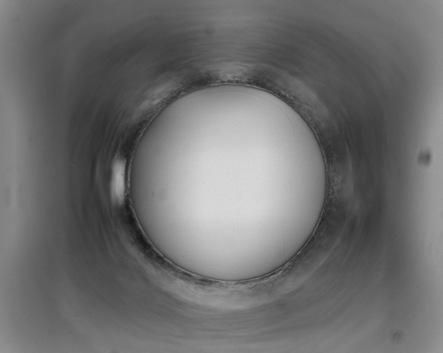 X0000097920028200803141451