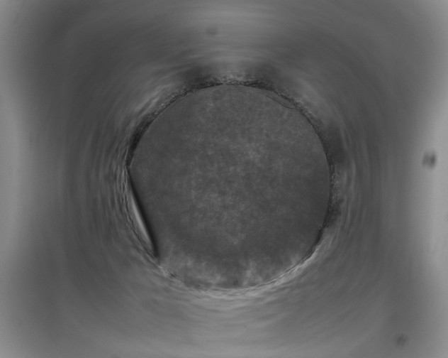 X0000097920029200803141451