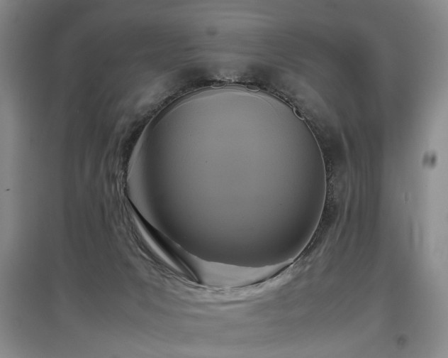 X0000097920031200803141451