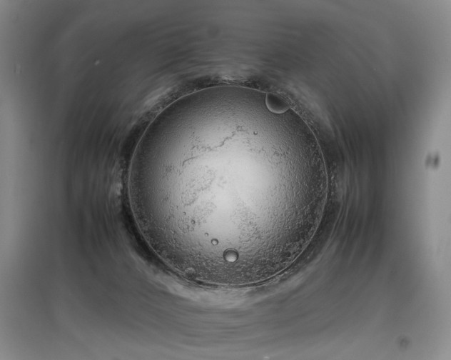 X0000097920032200803141451