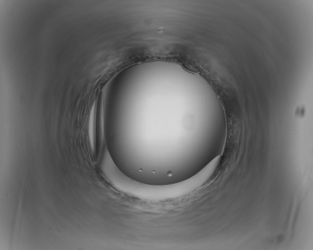 X0000097920033200803141451