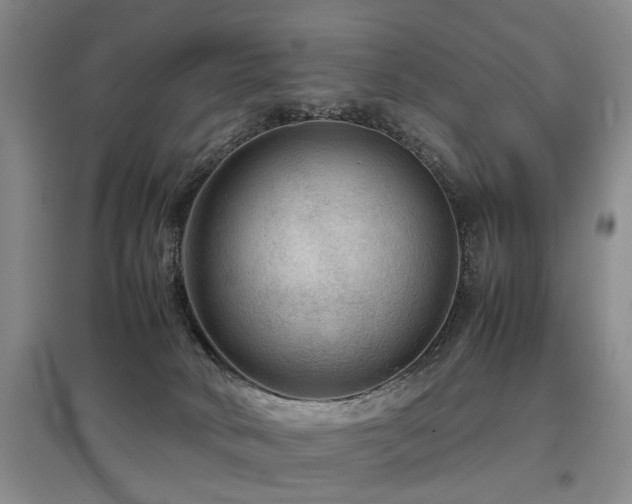 X0000097920034200803141451