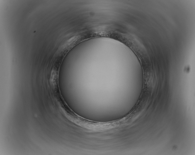 X0000097920036200803141451