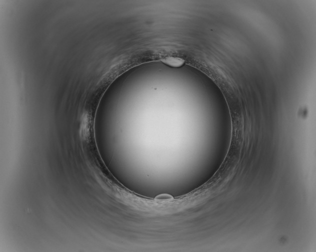 X0000097920038200803141451
