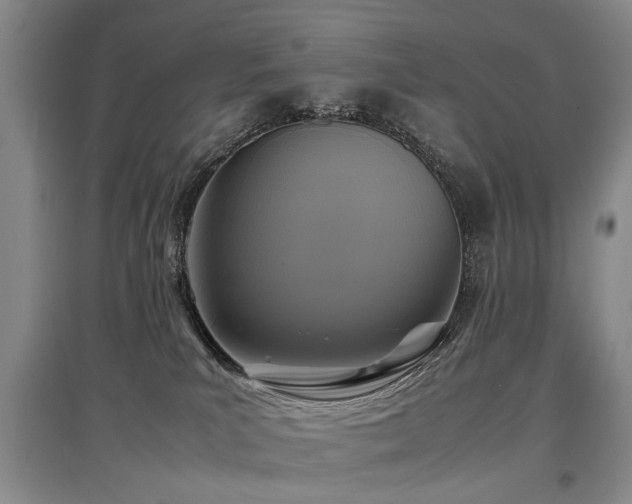 X0000097920039200803141451
