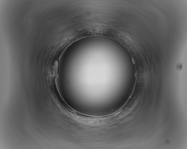 X0000097920040200803141451