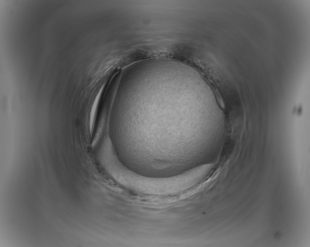 X0000097920041200803141451