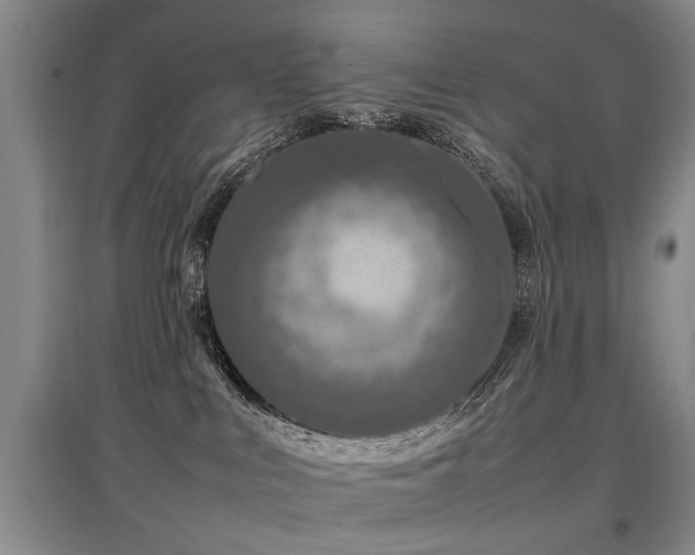 X0000097920043200803141451