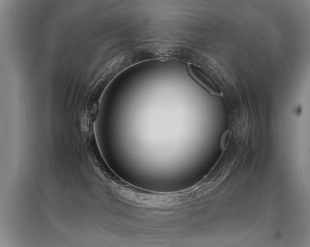 X0000097920044200803141451