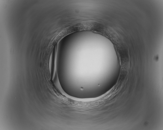 X0000097920045200803141451