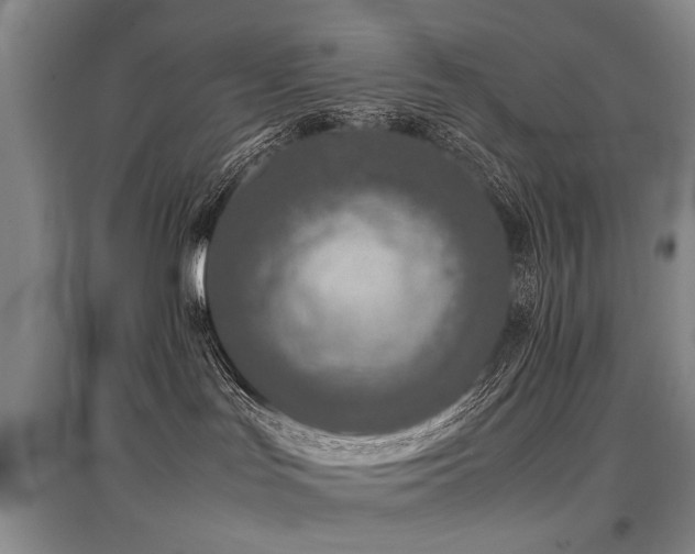 X0000097920047200803141451