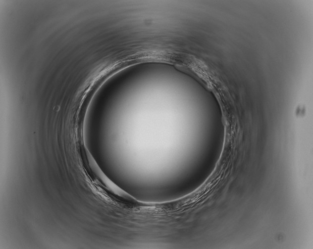 X0000097920050200803141450
