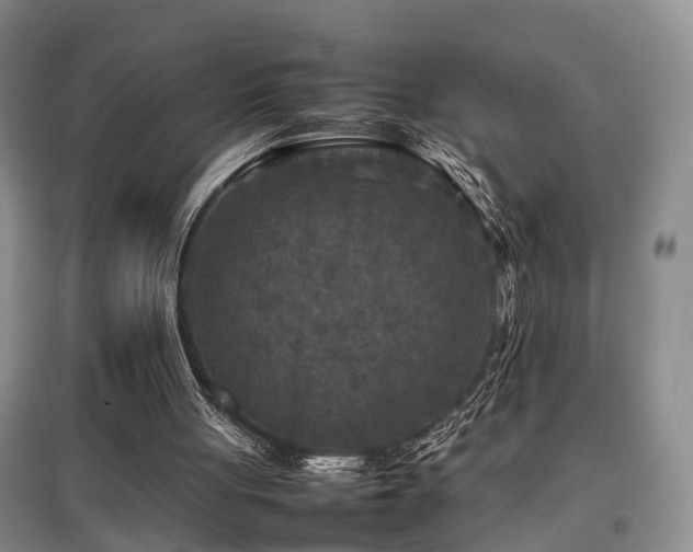 X0000097920051200803141450
