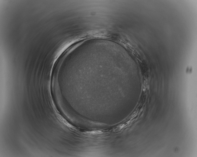 X0000097920052200803141450