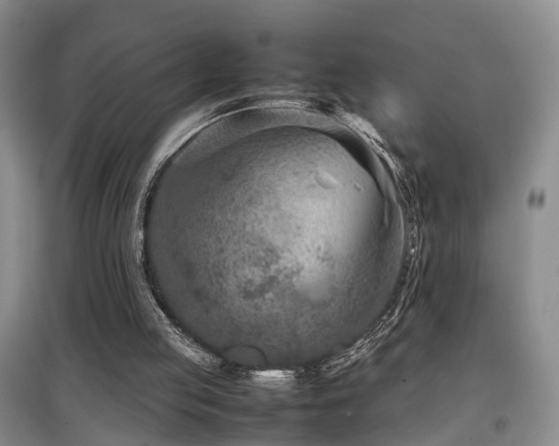 X0000097920053200803141450