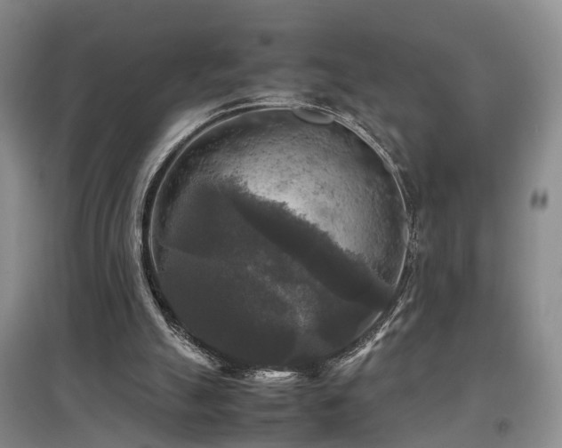 X0000097920055200803141450