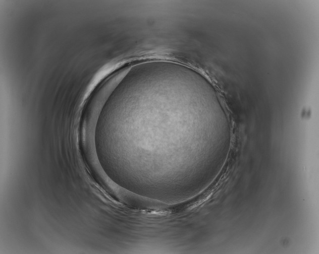 X0000097920056200803141450