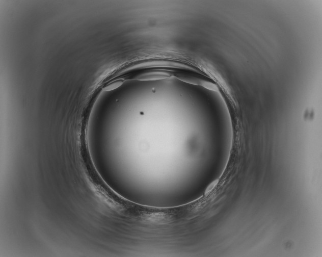 X0000097920058200803141450