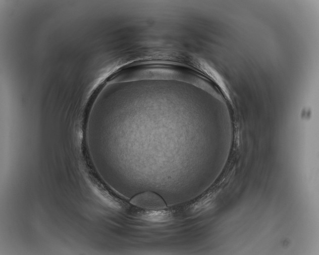 X0000097920059200803141450
