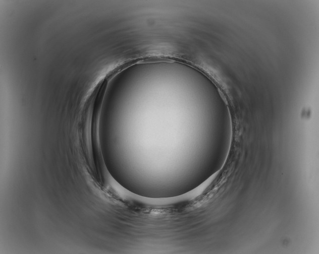 X0000097920060200803141450